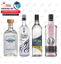 Ginebra Puerto de Indias Strawberry España - Cavas Towns