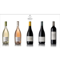 Vino Tinto Obalo Las Arenas Reserva Rioja 750 ml - Cavas Towns