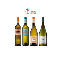 Vino Naia Verdejo Rueda 750 ml - Cavas Towns Vino Naia Verdejo Rueda 750 ml - Cavas Towns