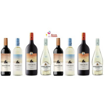 Vino Toro Bravo Estuche a Elegir Vinos - Cavas Towns